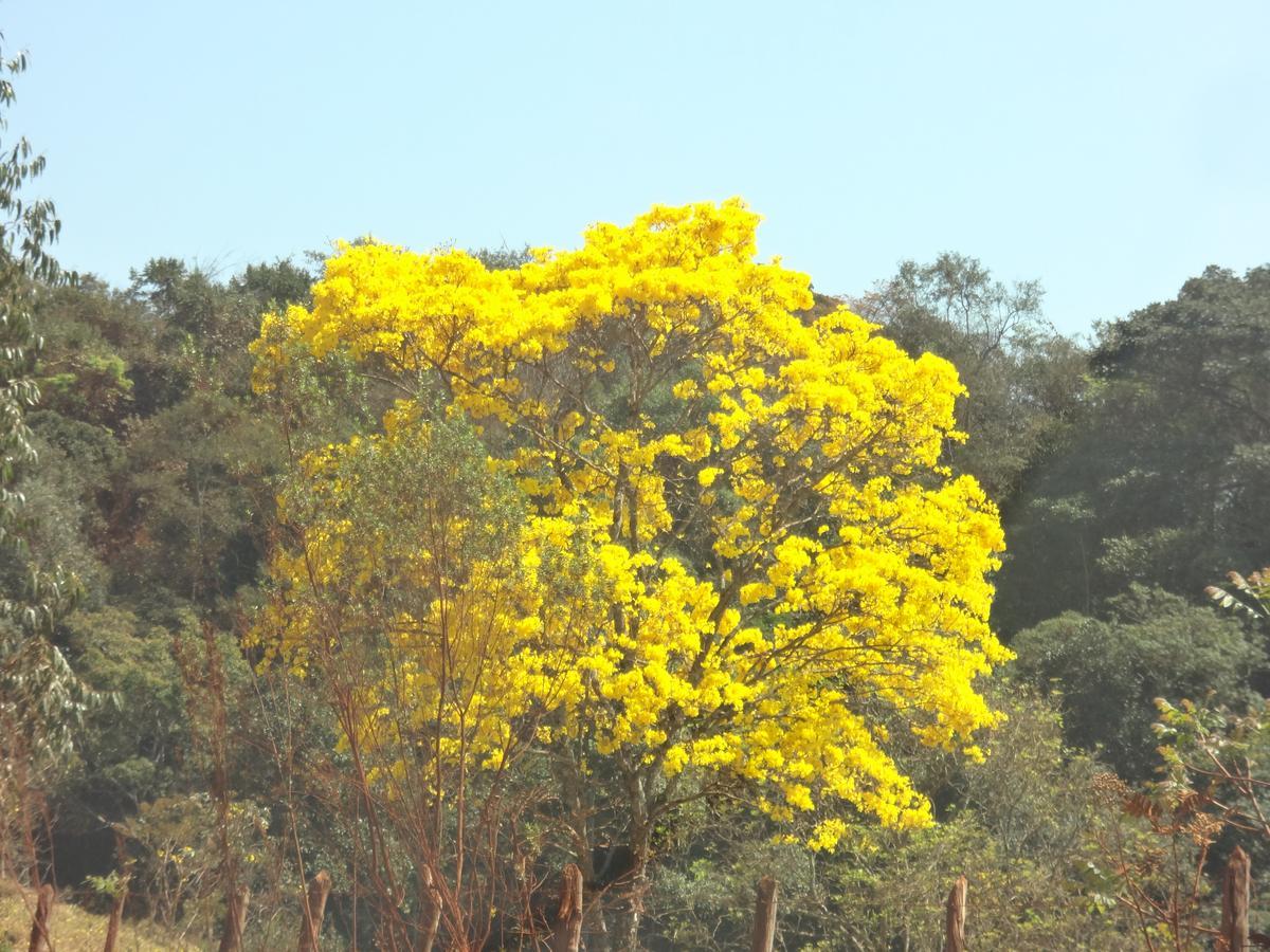 Sossego Da Mata Villa Santo Antonio do Leite Bagian luar foto